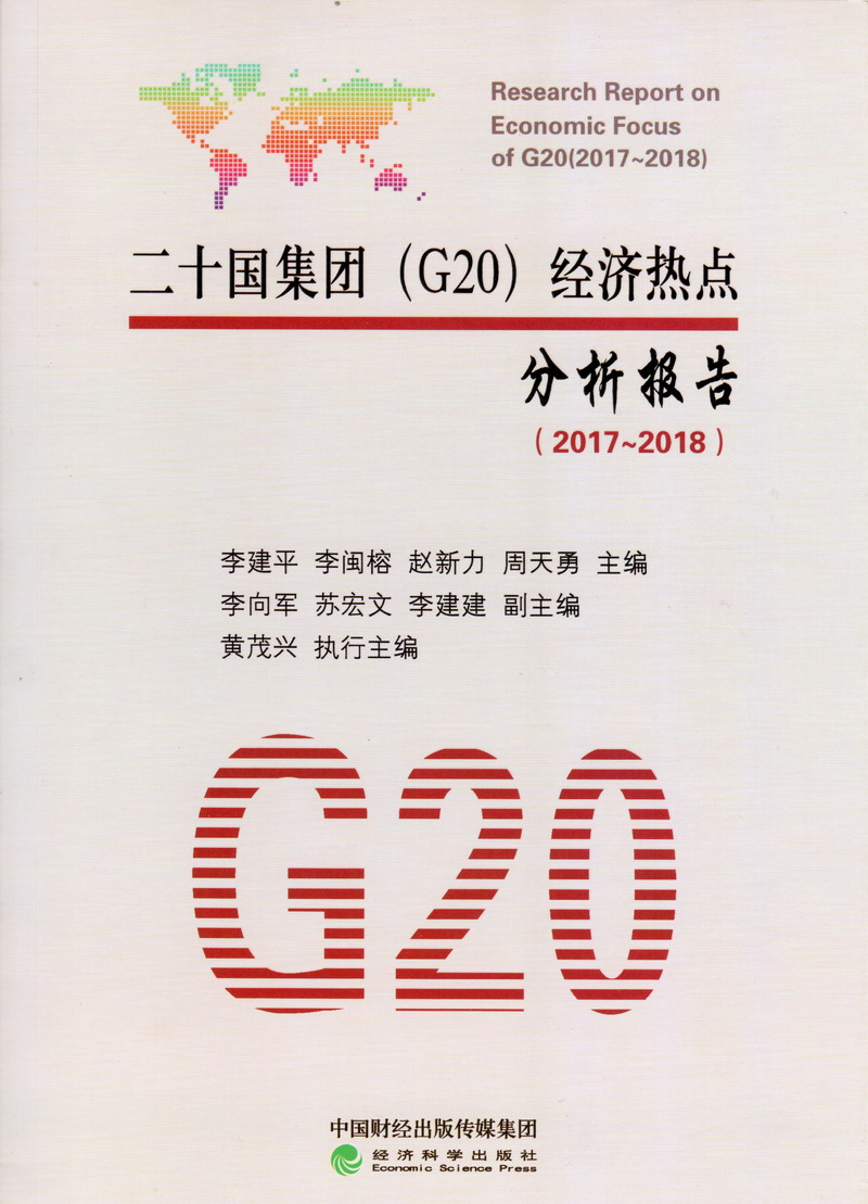 哈啊好爽在线观看二十国集团（G20）经济热点分析报告（2017-2018）