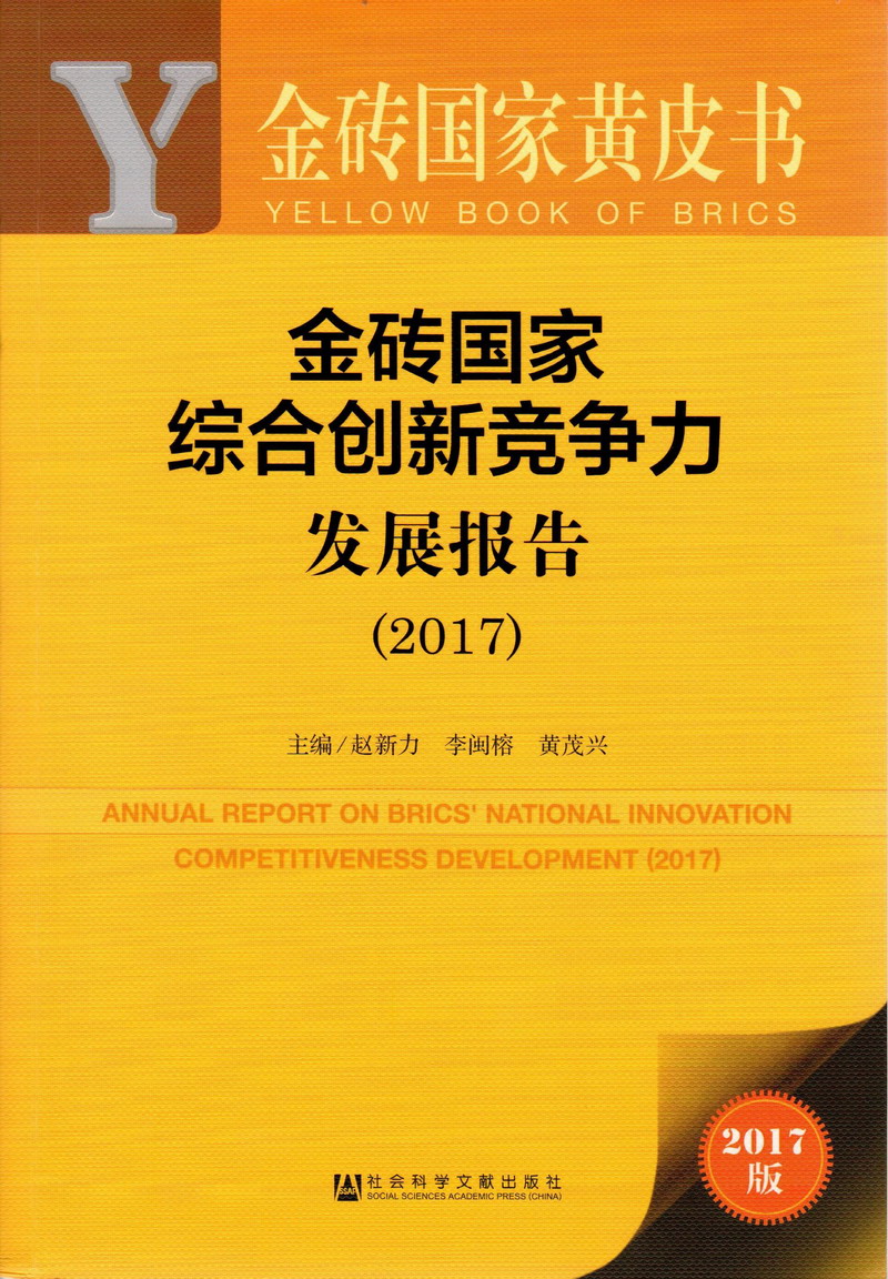 骚逼我操死你视频金砖国家综合创新竞争力发展报告（2017）